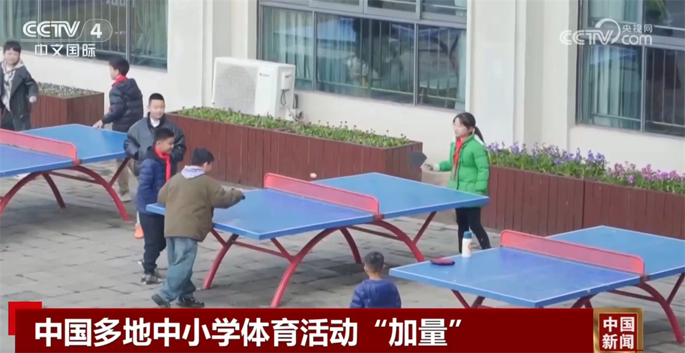 个人表现交